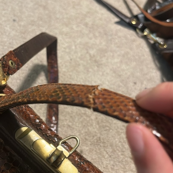 Susan Gail Snakeskin Purse - Picture 8 of 9